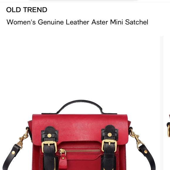Old Trend Aster Mini Satchel - Picture 2 of 11